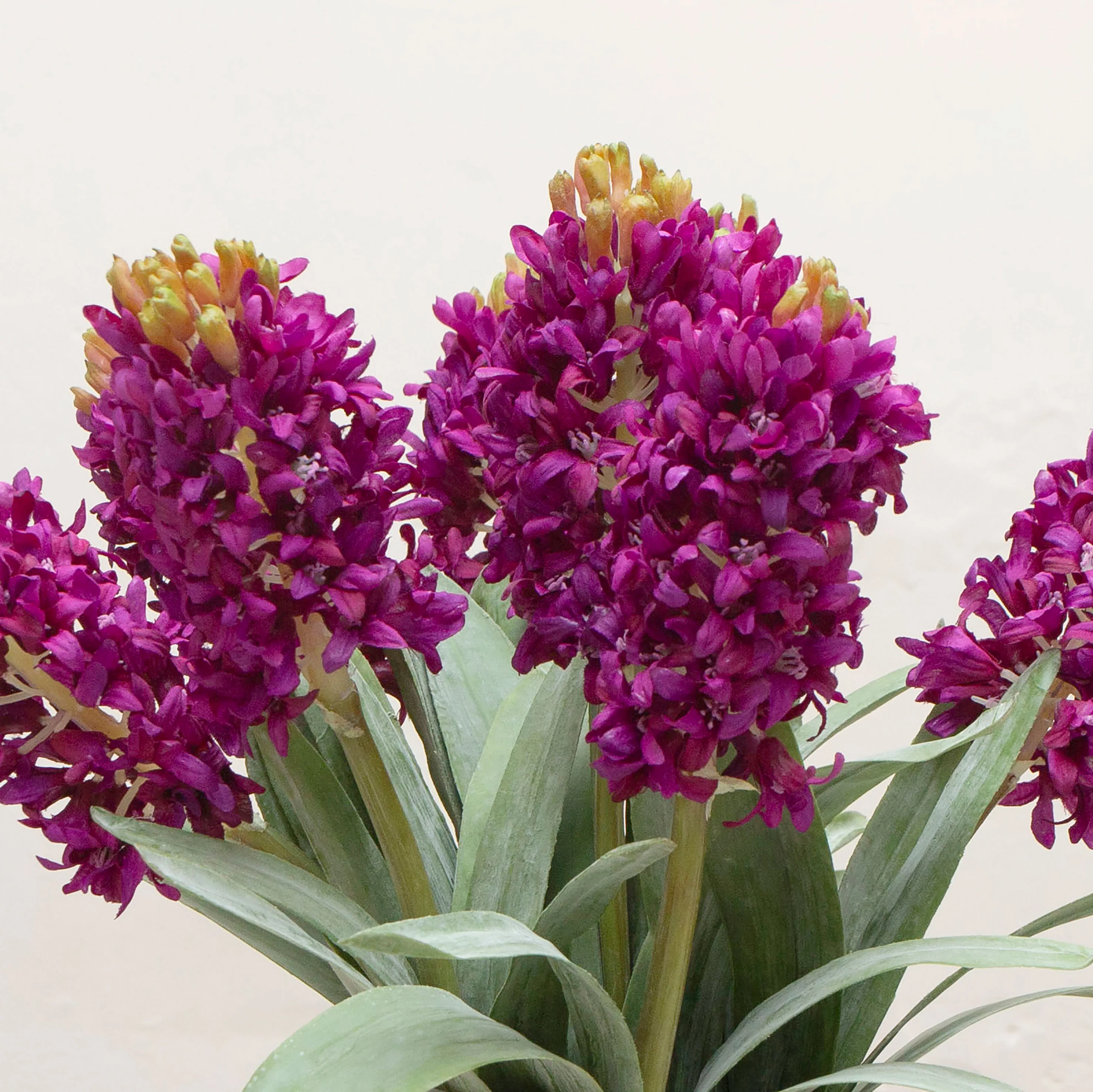 Artificial Hyacinth Stem - Purple - Image 3