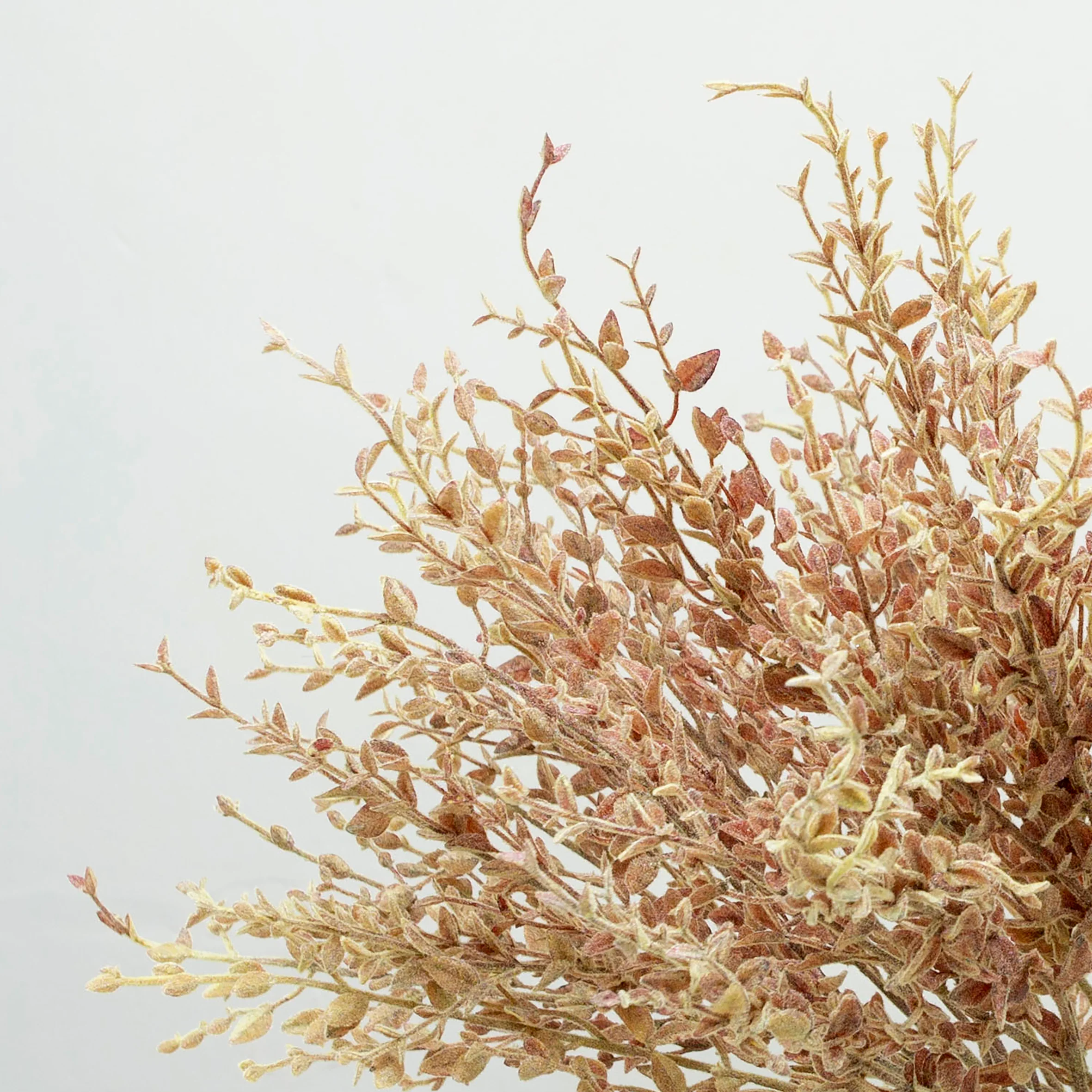 Artificial Eucalyptus spray Stem - Brown - Image 3